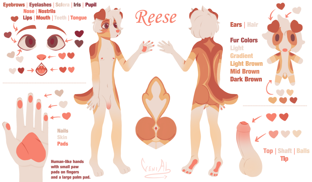 Reese Reference Sheet