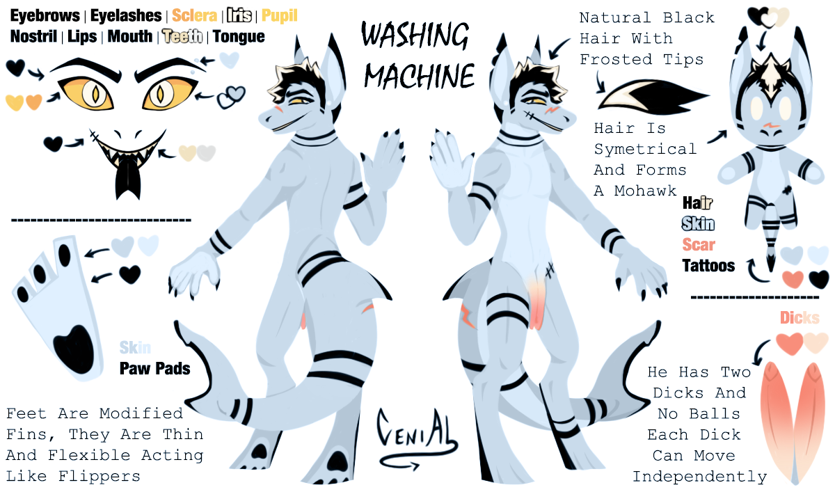 Washing Machine Reference Sheet